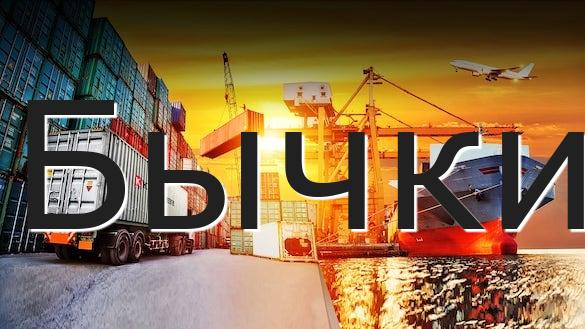 Бычки